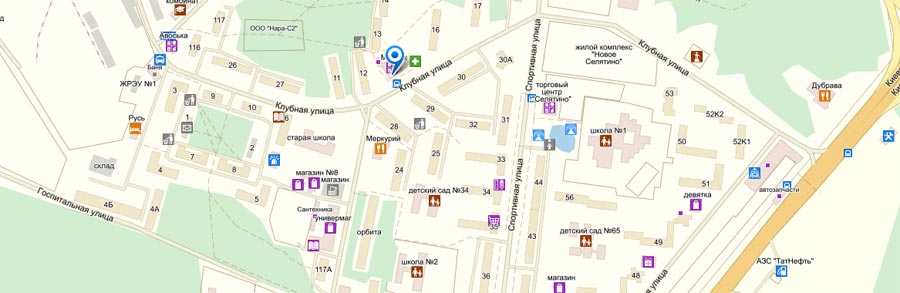 Карта Селятино